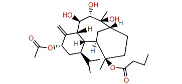 Krempfielin K